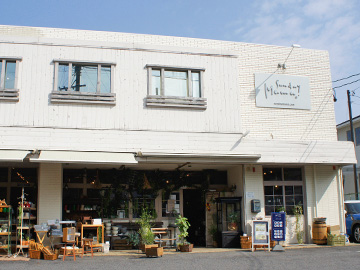 yomogi_0001.jpg